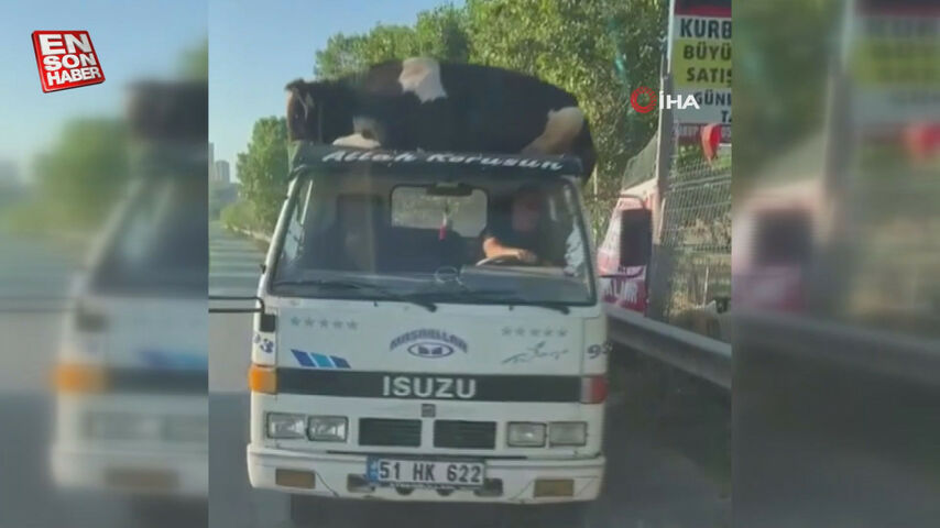 Başakşehir’de boğanın kamyonetten düşme anı