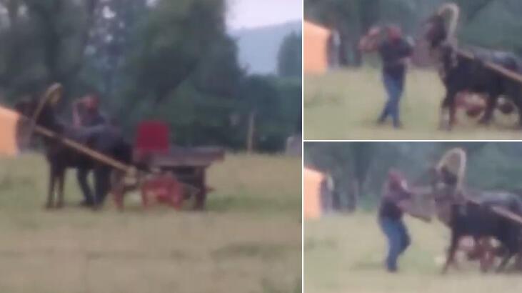 Bursa’da yürek sızlatan olay! Ata böyle işkence etti