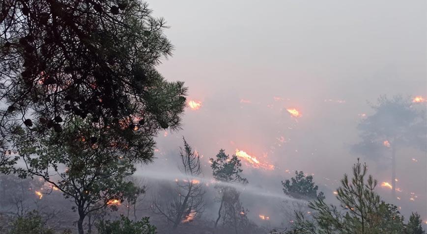 Bolu’da düşen yıldırım yangına sebep oldu! Ekipler müdahale ediyor