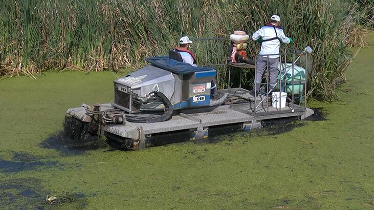 İBB ekipleri teyakkuzda! Sazlıdere’de sivrisineklere karşı ilaçlama