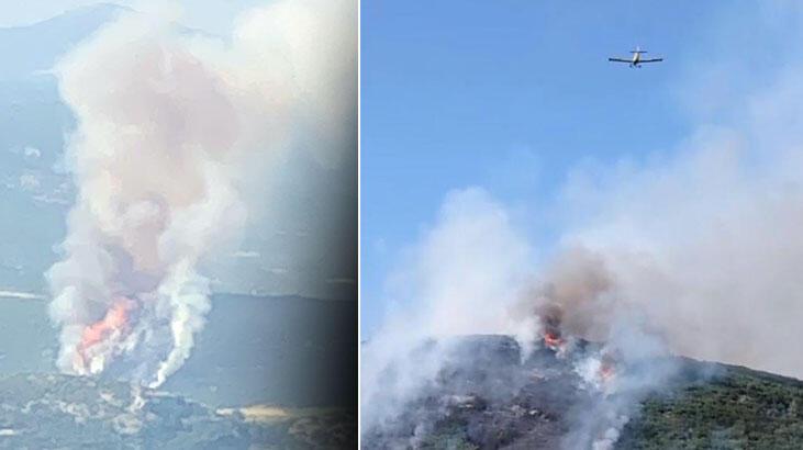 Muğla’da orman yangını