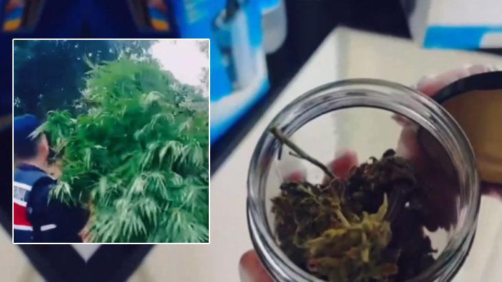 17 ilde Narkoçelik-29 operasyonu! 103 kişi yakalandı