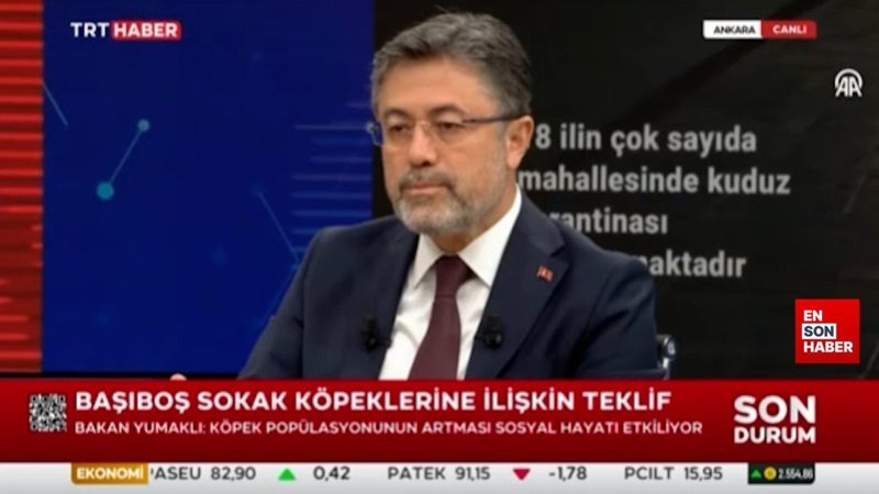 Bakan Yumaklı: Köpek popülasyonunun artması sosyal hayatı etkiliyor