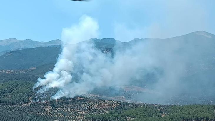 Hatay’da orman yangını
