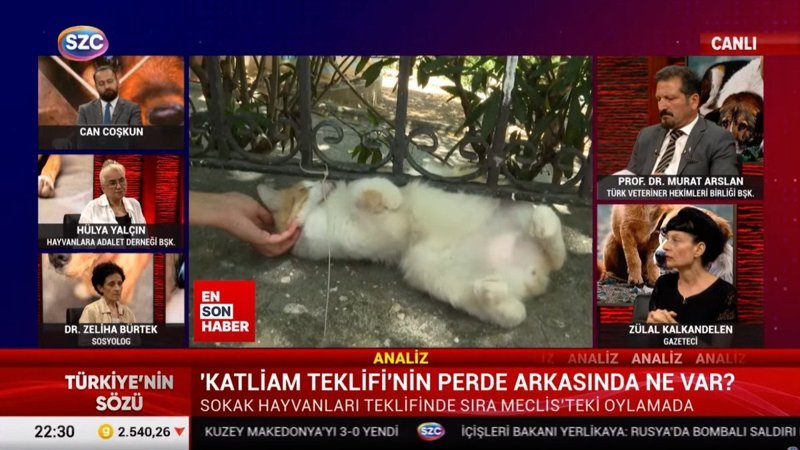Hayvan derneği başkanından ‘sokak savaşları’ çıkışı