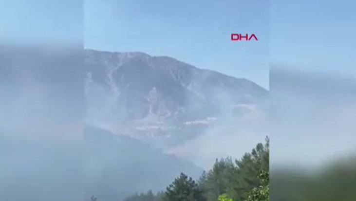 Kahramanmaraş’ta orman yangını! Müdahale sürüyor