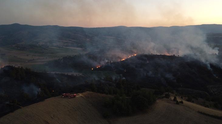 Bilecik’te orman yangını! Müdahale sürüyor