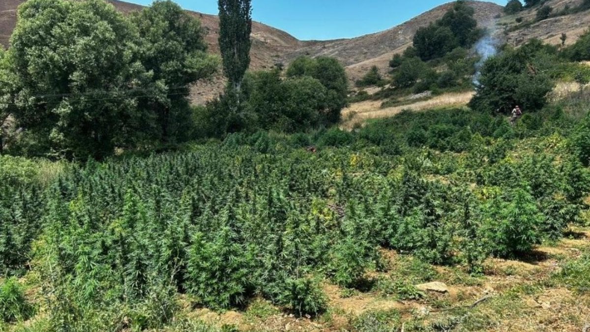 Diyarbakır’da PKK’nın uyuşturucu ticaretine darbe