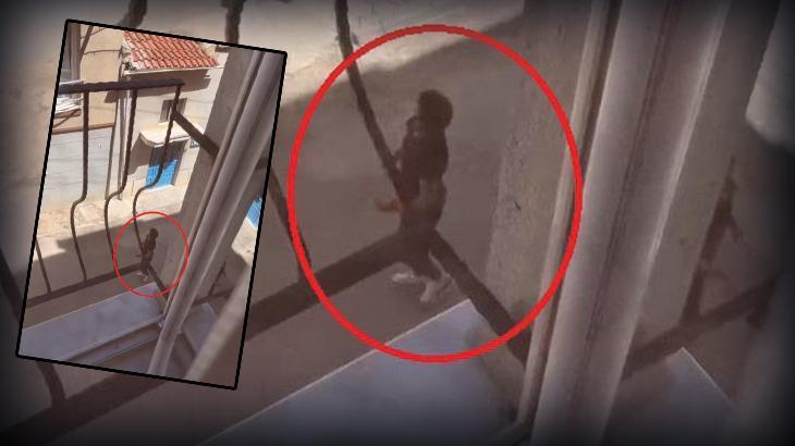 Eskişehir’de köpeğine şiddet uyguladı, kayda alanlara küfürler savurdu