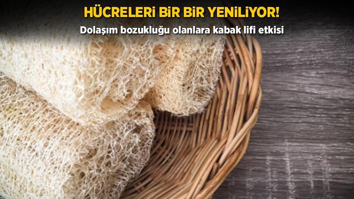 Ölü hücrelerin azılı düşmanı! Dolaşım bozukluğu varsa birebirmiş, pamuk gibi yapıyor